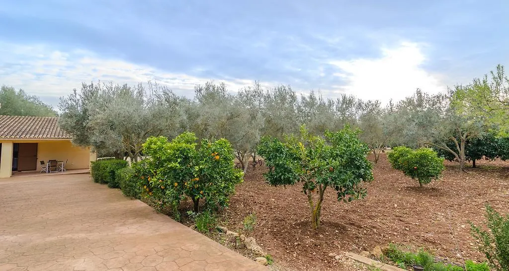 فيلة فيلا Sa Coveta الجايدا